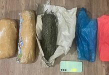 Polisi Ungkap Peredaran 1,9 Kilogram Ganja dan Tahan Dua Pelaku