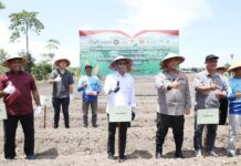 Walikota Batam Hadiri Tanam Jagung Serentak di Rempang Cate