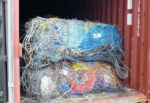 877 Kontainer Diduga Limbah B3 Masih Menumpuk di Pelabuhan Batuampar