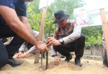 Polda Kepri Tanam 1.000 Bibit Mangrove di Nongsa, Perkuat Program Green Policing