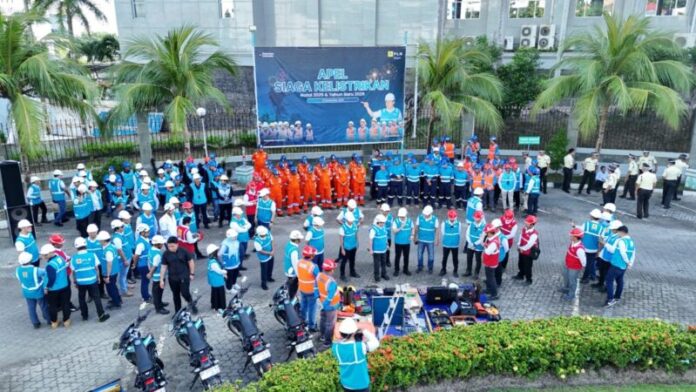 pln-nataru