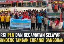 Listrik Kerap Padam, Warga Selayar dan PLN Bersihkan Pohon di Jalur Jaringan