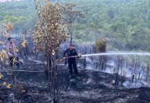 Brimob Polda Kepri Padamkan Kebakaran Lahan di Kampung Tua Tiwangkang
